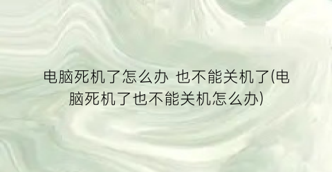 “电脑死机了怎么办也不能关机了(电脑死机了也不能关机怎么办)